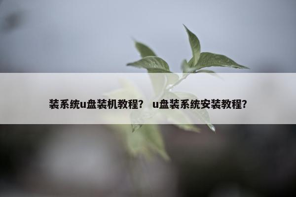 装系统u盘装机教程？ u盘装系统安装教程？