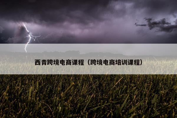 西青跨境电商课程（跨境电商培训课程）