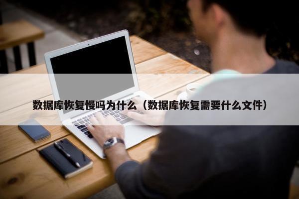 数据库恢复慢吗为什么（数据库恢复需要什么文件）