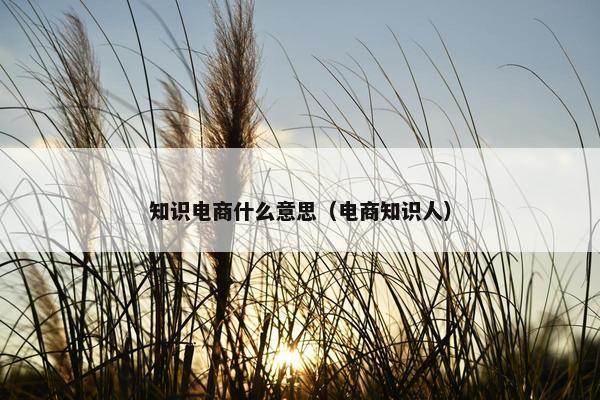 知识电商什么意思（电商知识人）
