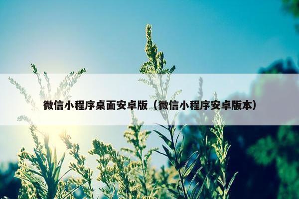 微信小程序桌面安卓版（微信小程序安卓版本）