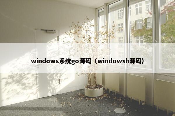 windows系统go源码（windowsh源码）