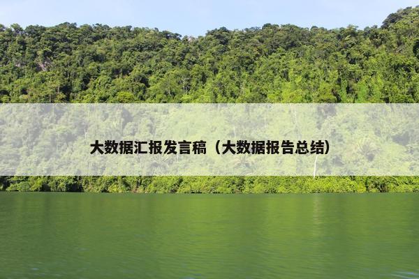 大数据汇报发言稿（大数据报告总结）