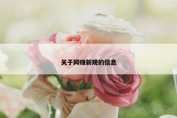 关于网赚新规的信息
