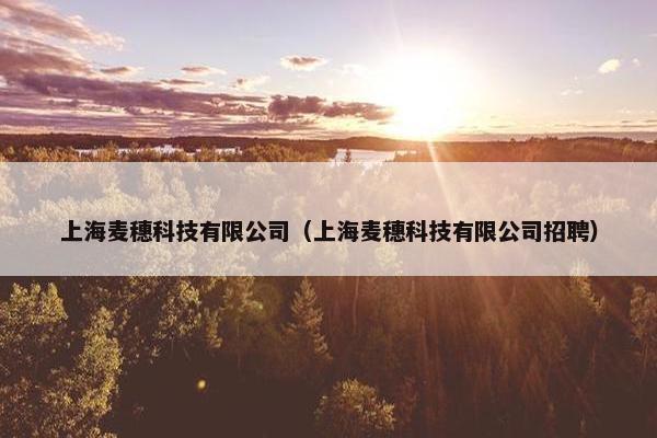 上海麦穗科技有限公司（上海麦穗科技有限公司招聘）