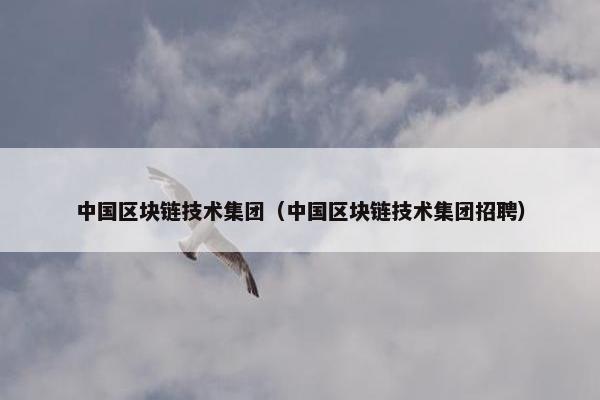 中国区块链技术集团（中国区块链技术集团招聘）