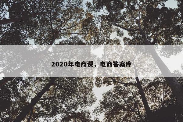 2020年电商课，电商答案库