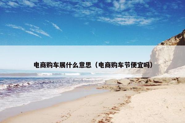 电商购车展什么意思（电商购车节便宜吗）