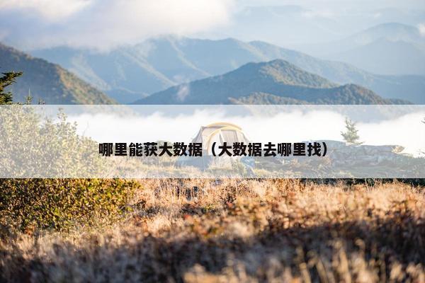 哪里能获大数据（大数据去哪里找）