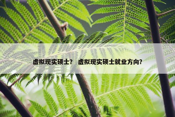 虚拟现实硕士？ 虚拟现实硕士就业方向？