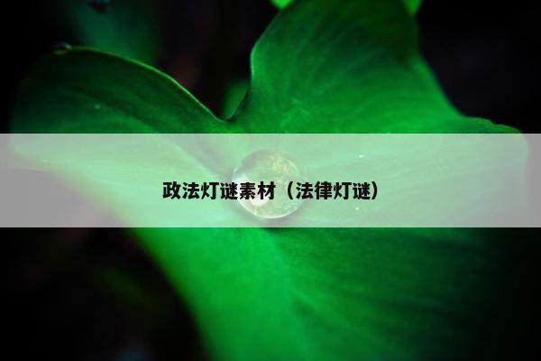 政法灯谜素材（法律灯谜）