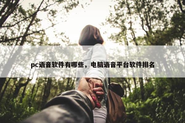 pc语音软件有哪些，电脑语音平台软件排名