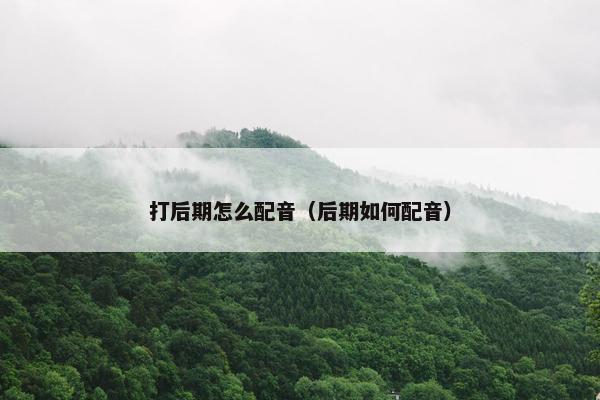 打后期怎么配音（后期如何配音）