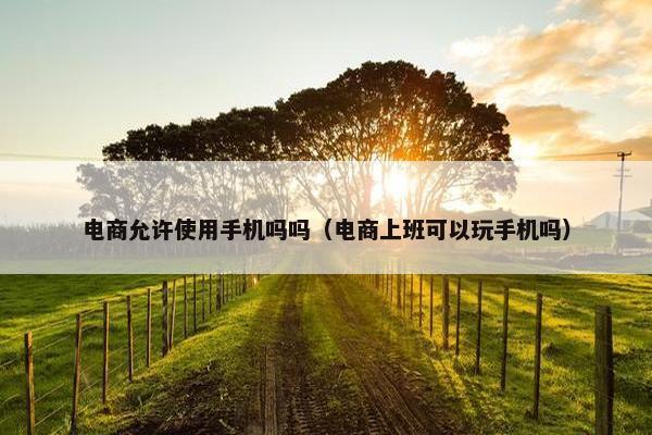 电商允许使用手机吗吗（电商上班可以玩手机吗）