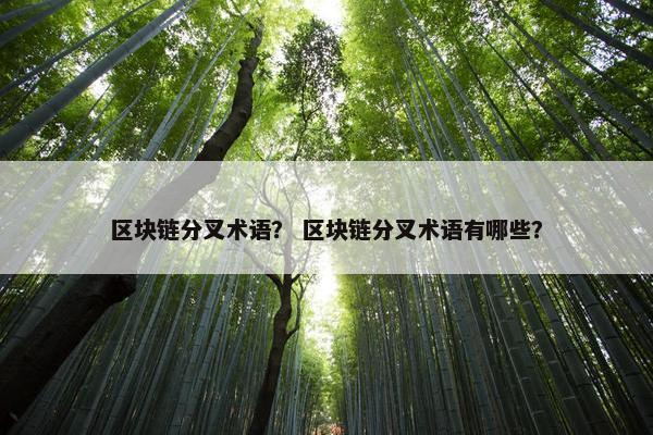 区块链分叉术语？ 区块链分叉术语有哪些？