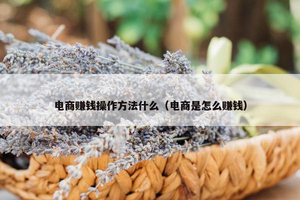 电商赚钱操作方法什么（电商是怎么赚钱）
