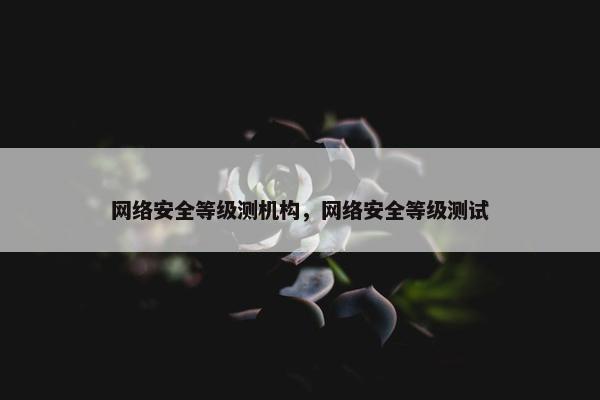 网络安全等级测机构，网络安全等级测试
