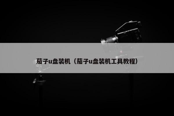 茄子u盘装机（茄子u盘装机工具教程）