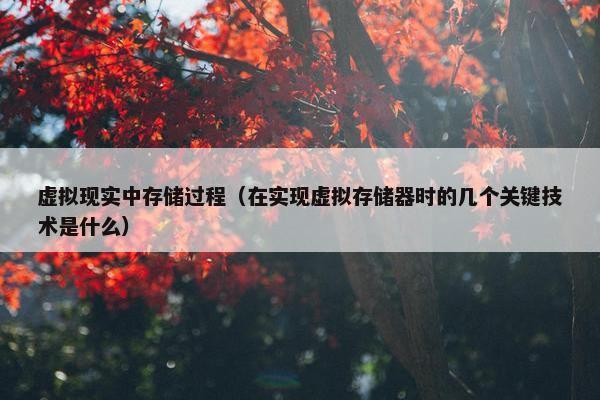 虚拟现实中存储过程（在实现虚拟存储器时的几个关键技术是什么）
