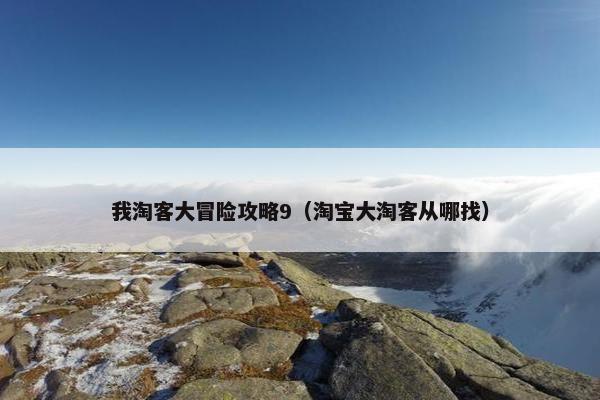 我淘客大冒险攻略9（淘宝大淘客从哪找）