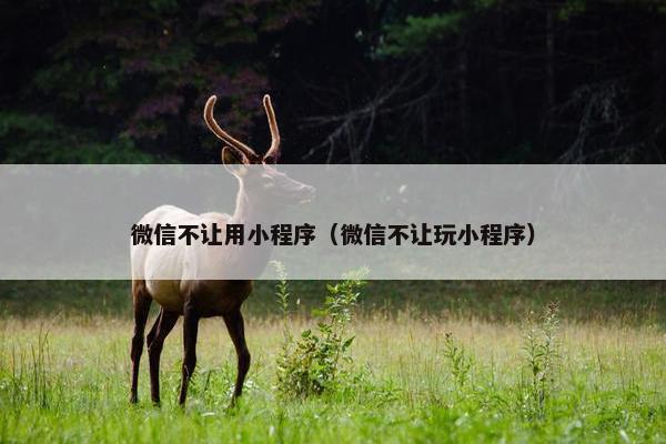 微信不让用小程序（微信不让玩小程序）