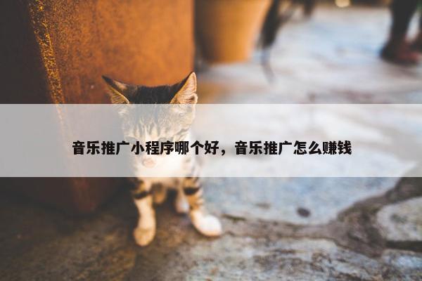 音乐推广小程序哪个好，音乐推广怎么赚钱