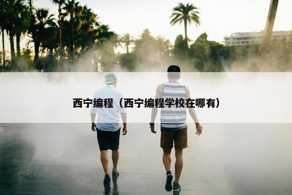 西宁编程（西宁编程学校在哪有）