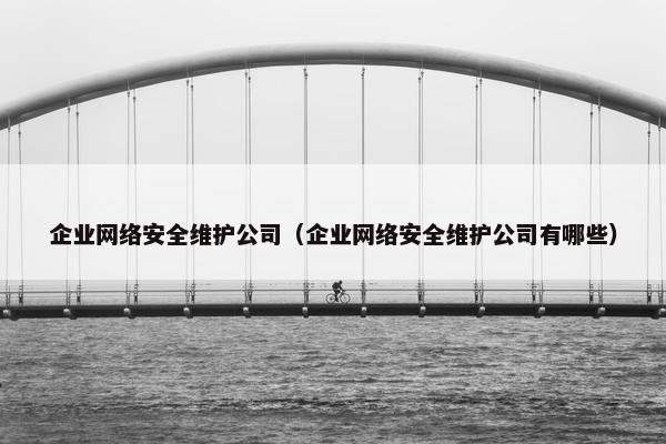 企业网络安全维护公司（企业网络安全维护公司有哪些）