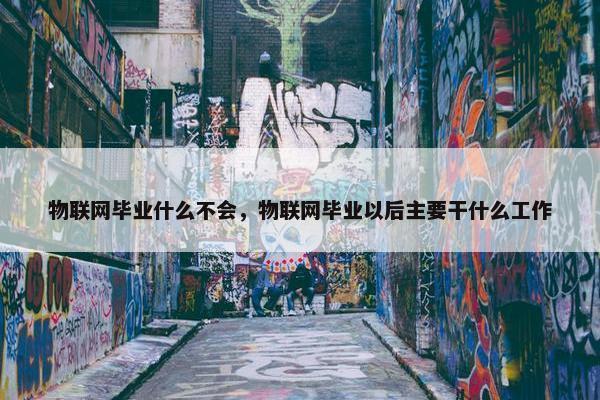 物联网毕业什么不会，物联网毕业以后主要干什么工作