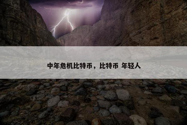 中年危机比特币，比特币 年轻人