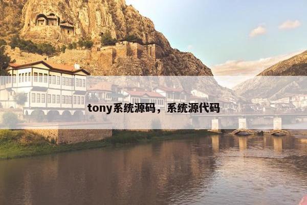 tony系统源码，系统源代码