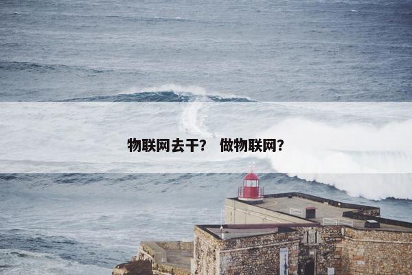 物联网去干？ 做物联网？