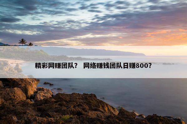 精彩网赚团队？ 网络赚钱团队日赚800？