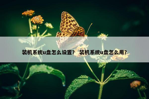 装机系统u盘怎么设置？ 装机系统u盘怎么用？