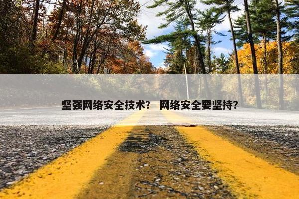 坚强网络安全技术？ 网络安全要坚持？