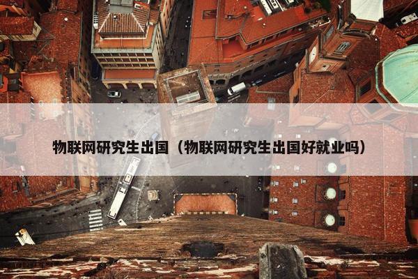 物联网研究生出国（物联网研究生出国好就业吗）