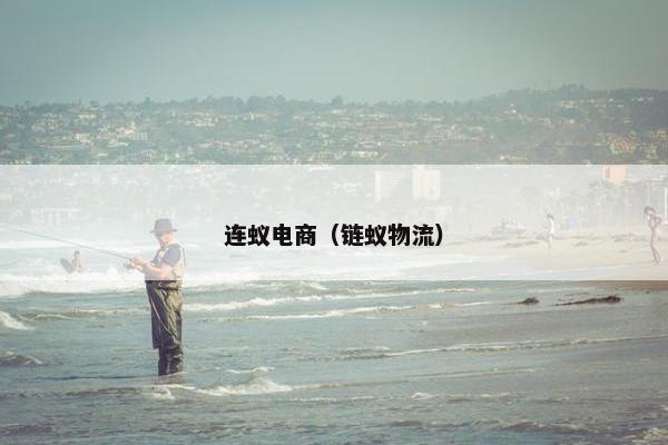 连蚁电商（链蚁物流）