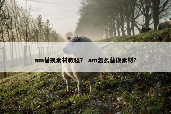am替换素材教程？ am怎么替换素材？