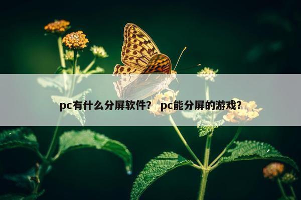 pc有什么分屏软件？ pc能分屏的游戏？