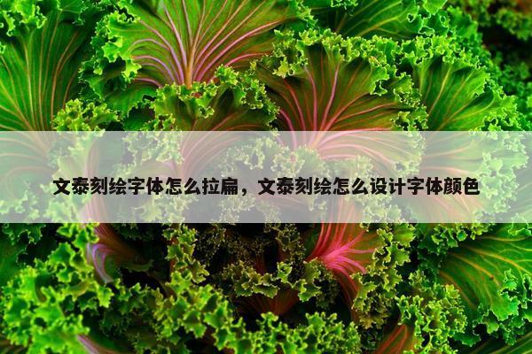 文泰刻绘字体怎么拉扁，文泰刻绘怎么设计字体颜色