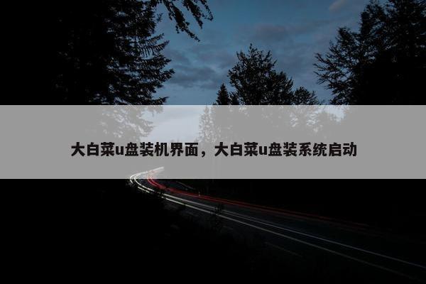 大白菜u盘装机界面，大白菜u盘装系统启动