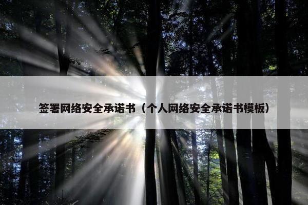 签署网络安全承诺书（个人网络安全承诺书模板）