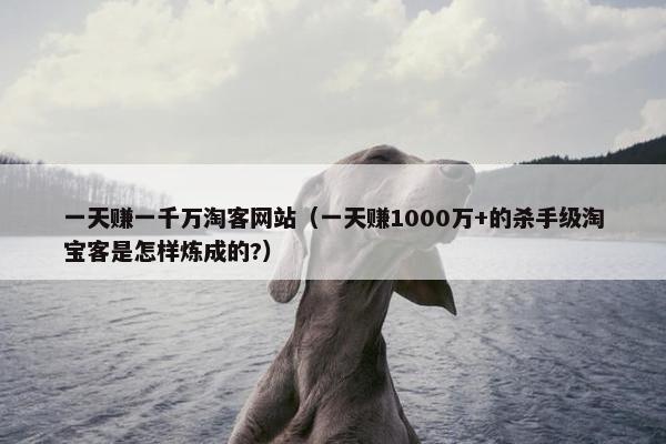 一天赚一千万淘客网站（一天赚1000万+的杀手级淘宝客是怎样炼成的?）