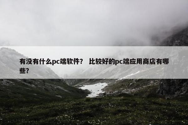 有没有什么pc端软件？ 比较好的pc端应用商店有哪些？
