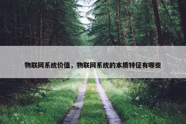 物联网系统价值，物联网系统的本质特征有哪些