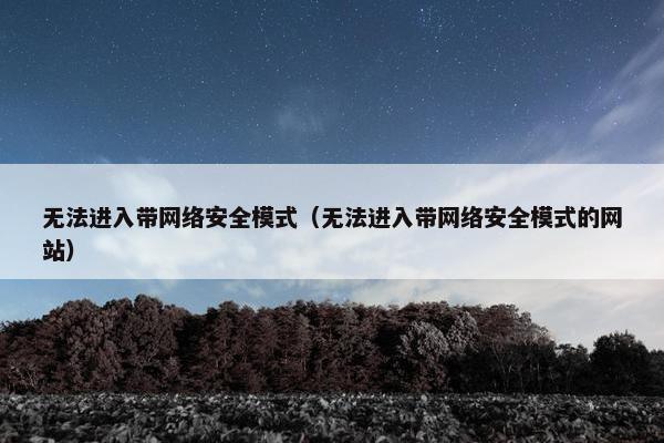 无法进入带网络安全模式（无法进入带网络安全模式的网站）