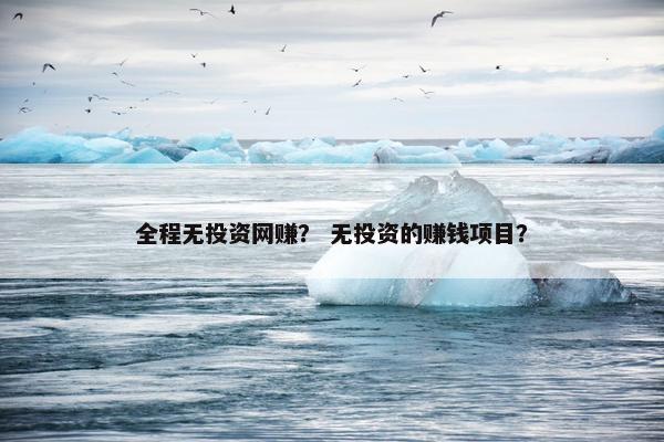 全程无投资网赚？ 无投资的赚钱项目？