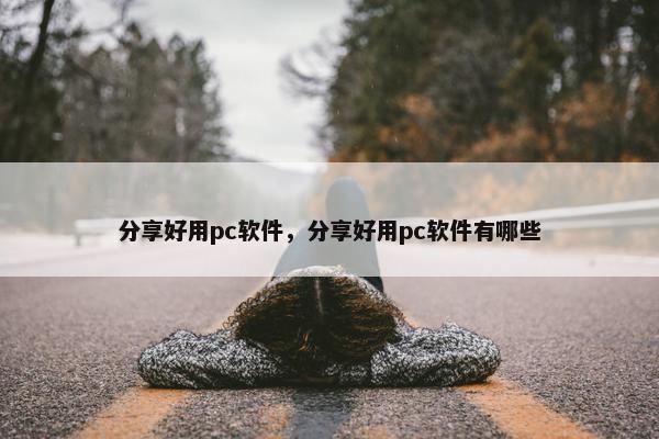 分享好用pc软件，分享好用pc软件有哪些