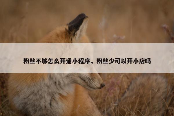 粉丝不够怎么开通小程序，粉丝少可以开小店吗