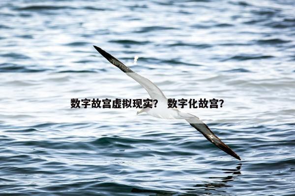 数字故宫虚拟现实？ 数字化故宫？